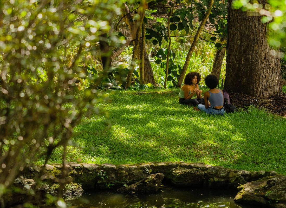 friends in the forest